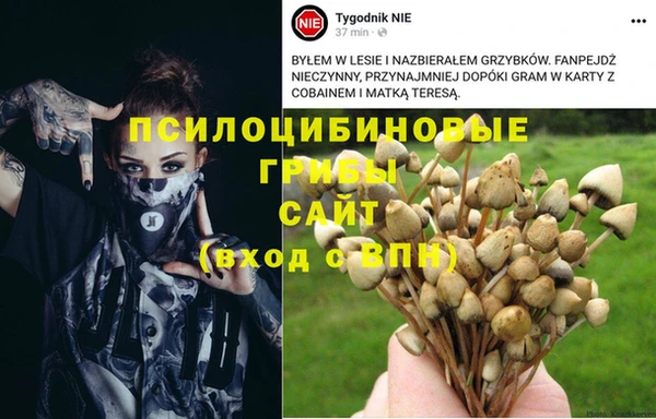 спиды Балабаново
