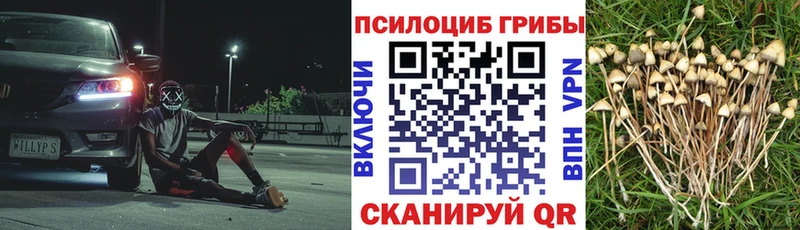 Псилоцибиновые грибы Psilocybine cubensis  Нижняя Тура 