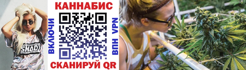 Шишки марихуана сатива Нижняя Тура